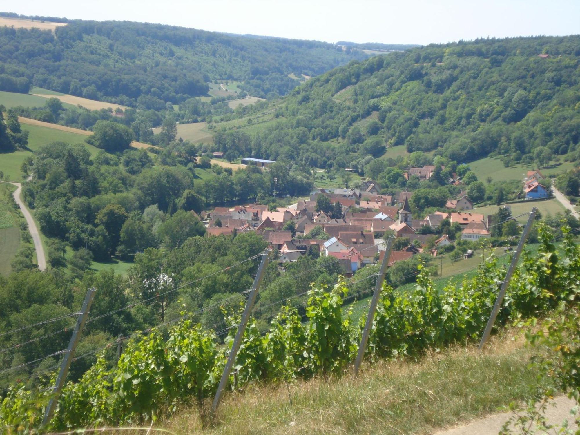Tauberzell Landhaus Zum Falken מראה חיצוני תמונה